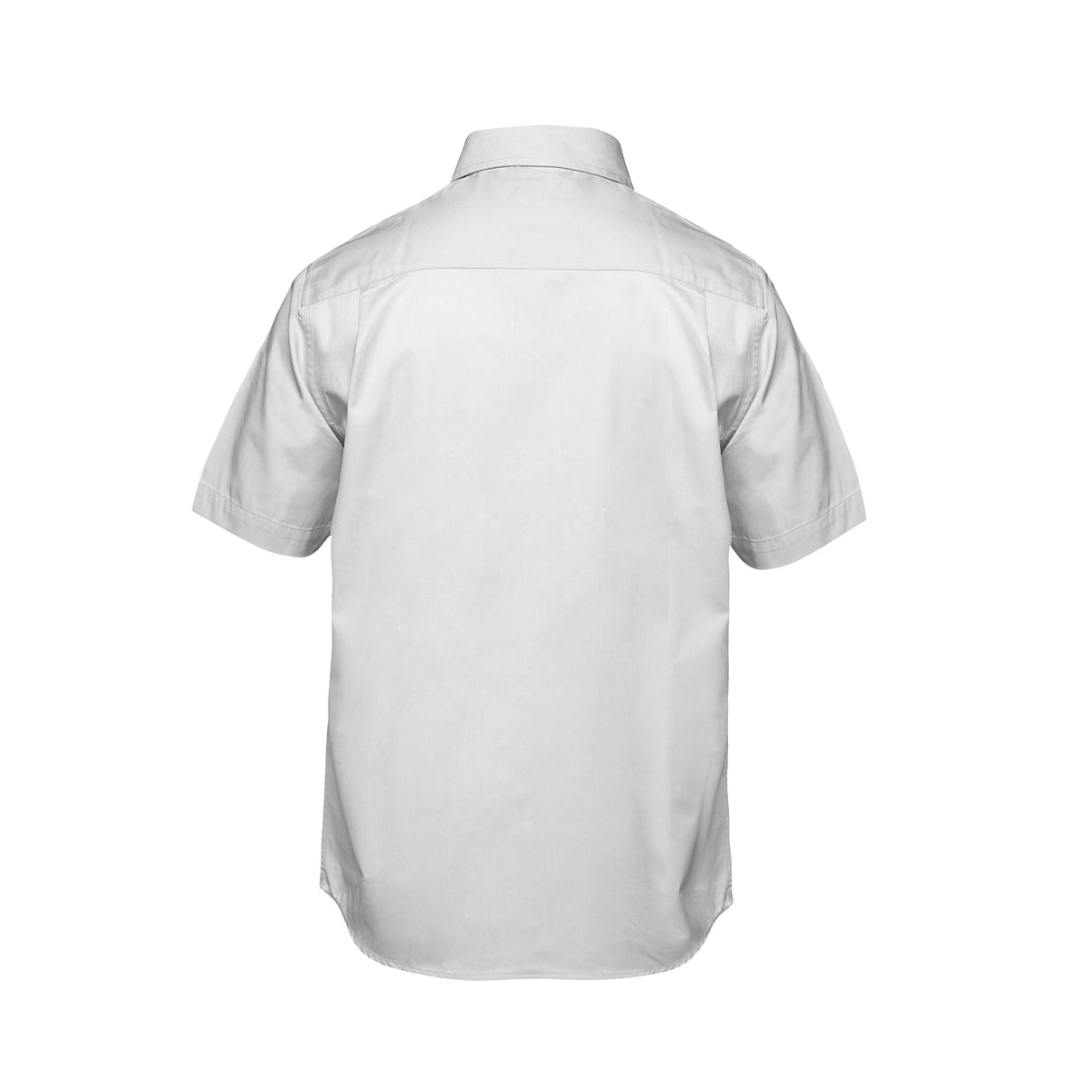 Back White