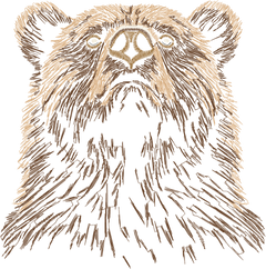 Bear 4in