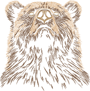 Bear 4in