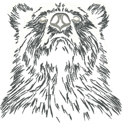 Bear 4in