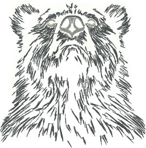 Bear 4in