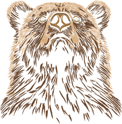 Bear 7in