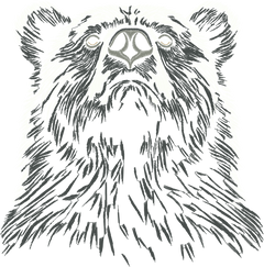 Bear 7in