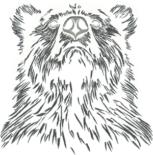 Bear 7in