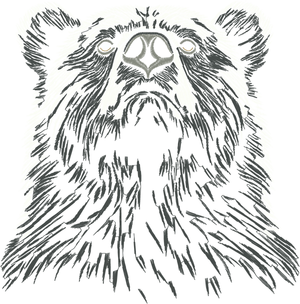 Bear 7in