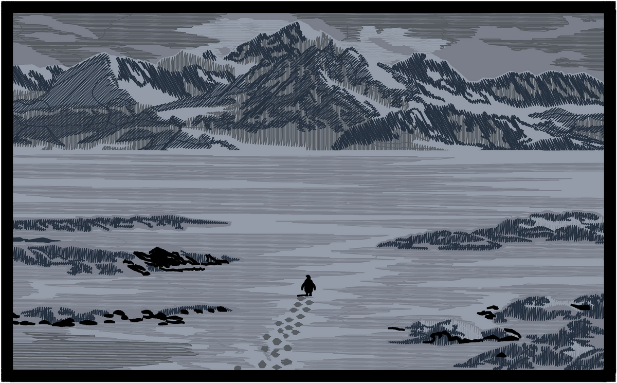 Lone Penguin