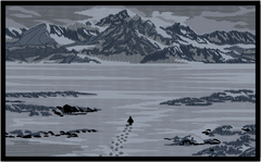 Lone Penguin