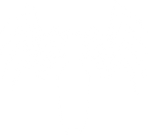Venom Logo